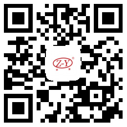 掃碼進(jìn)入手機(jī)站